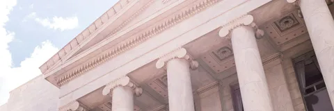 Government & Public Sector