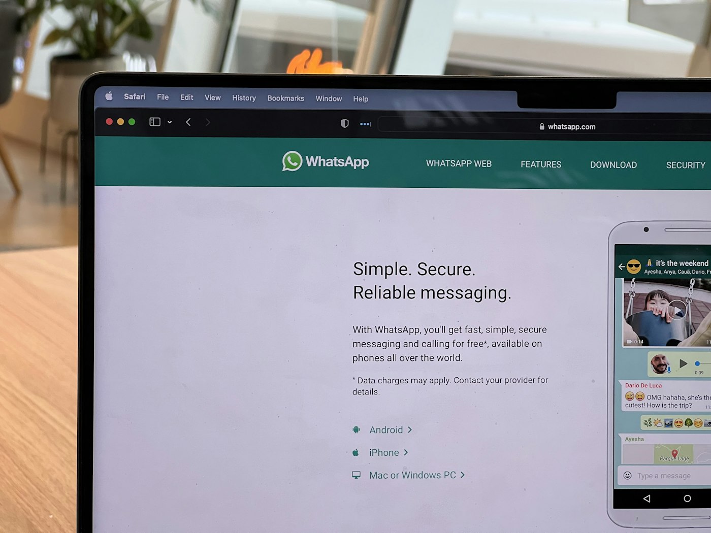 The Complete Guide to Setting Up a WhatsApp Chatbot for Your Maltese Business