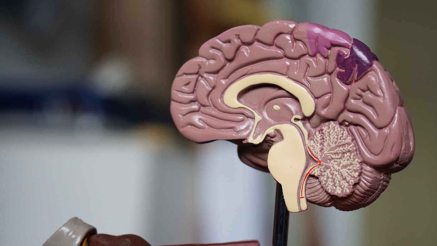 Why Healthcare Providers Can't Ignore AI